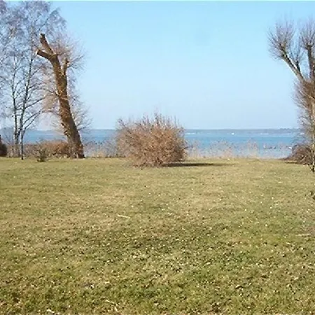 Wanderfalke Mit Mueritzblick *