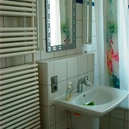 Wanderfalke Mit Mueritzblick