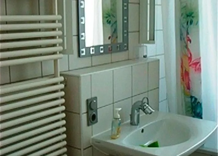 Wanderfalke Mit Mueritzblick